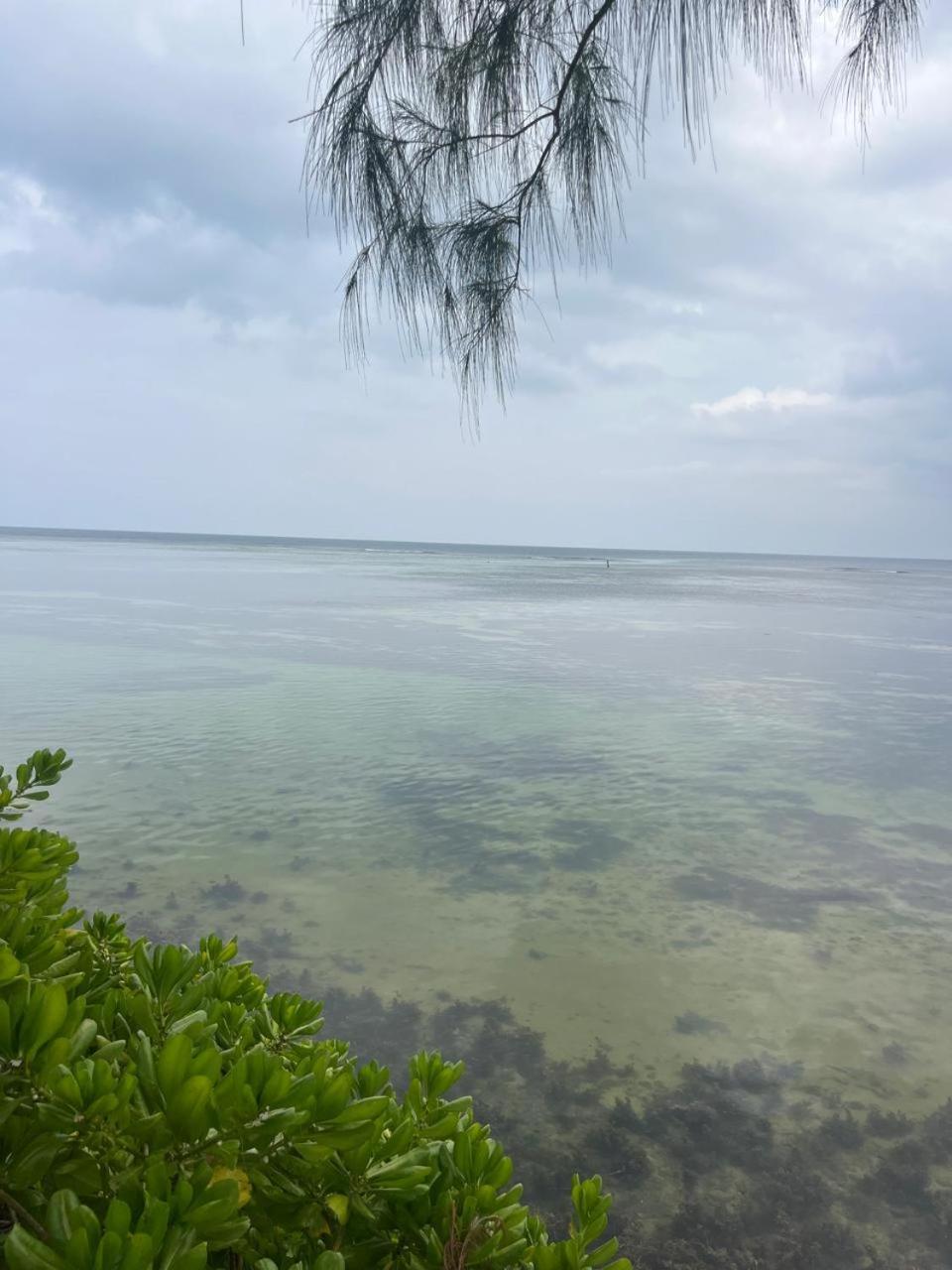 Le Chateau Bleu Anse aux Pins エクステリア 写真